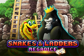 Snakes and Ladders Megadice™