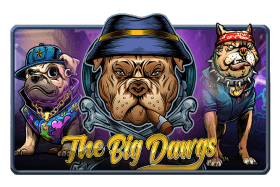 The Big Dawgs