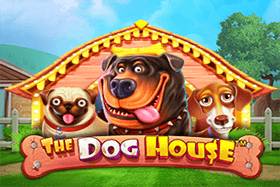 The Dog House