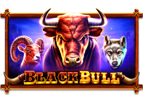 Black Bull