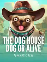 The Dog House - Dog or Alive