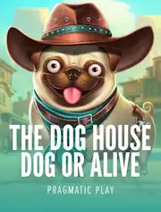 The Dog House - Dog or Alive