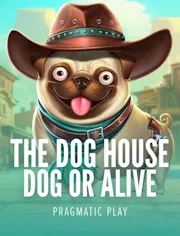 The Dog House - Dog or Alive
