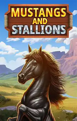Mustangs And Stallions