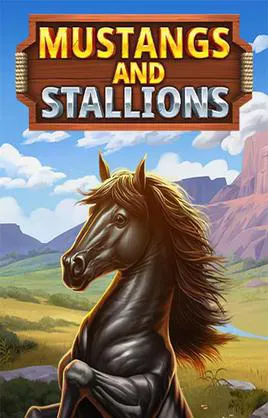Mustangs And Stallions