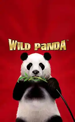 Wild Panda
