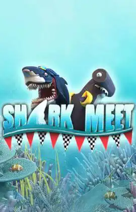 Shark Meet