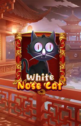 White Nose Cat
