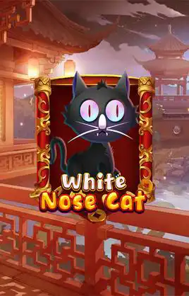 White Nose Cat