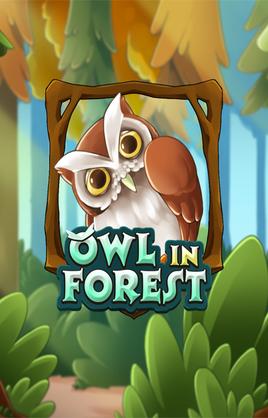 Owl In Forest