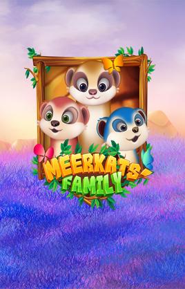 Meerkats Family