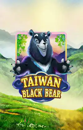 Taiwan Black Bear