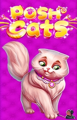 Posh Cats