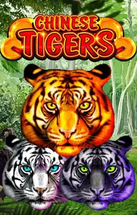 Chinese Tigers