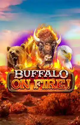 Buffalo On Fire