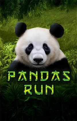 Pandas Run