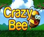 Crazy Bee
