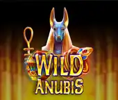 Wild Anubis