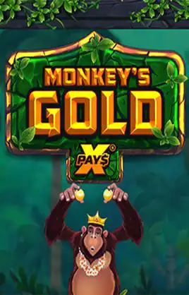 Monkeys Gold x Pays