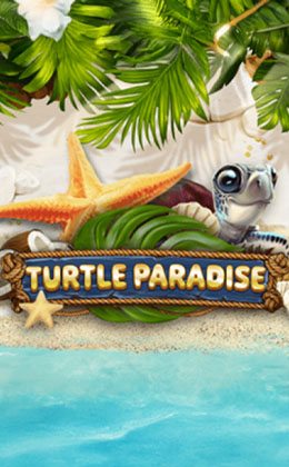 Turtle Paradise