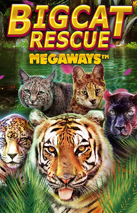 Big Cat Rescue Megaways