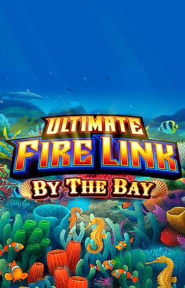 Ultimate Fire Link By The Bay