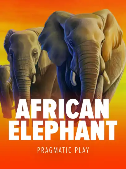 African Elephant™