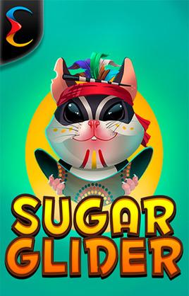 Sugar Glider