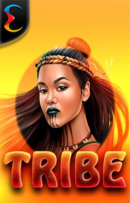 Tribe