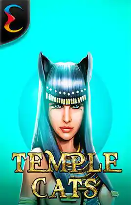 Temple Cats