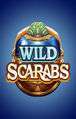 Wild Scarabs