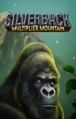 Silverback Multiplier Mountain
