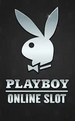 Playboy สล็อต