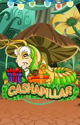 Cashapillar