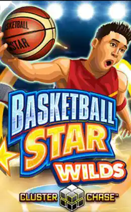Basketball Star Wilds