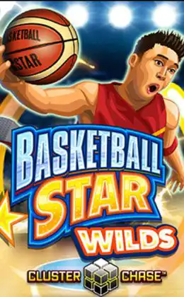 Basketball Star Wilds