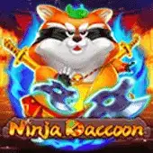 Ninja Raccoon