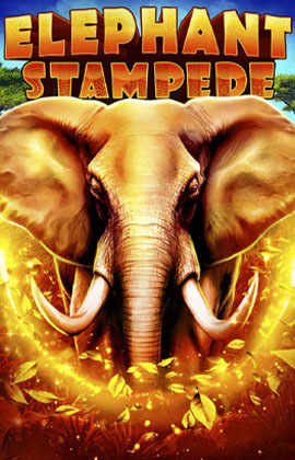 Elephant Stampede