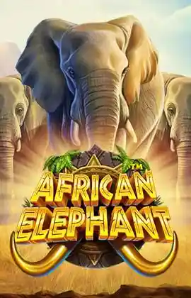 African Elephant
