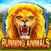 Running Animals