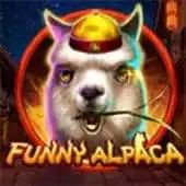 Funny Alpaca