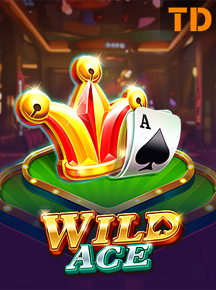 Play Wild Ace Casino Game