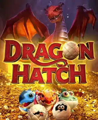 Dragon Hatch