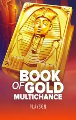 Book Of Gold Multichance