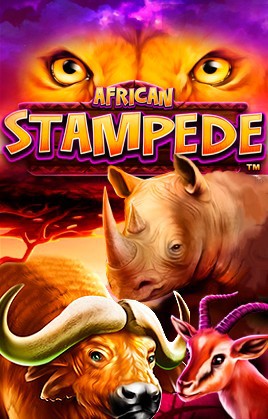 African Stampede