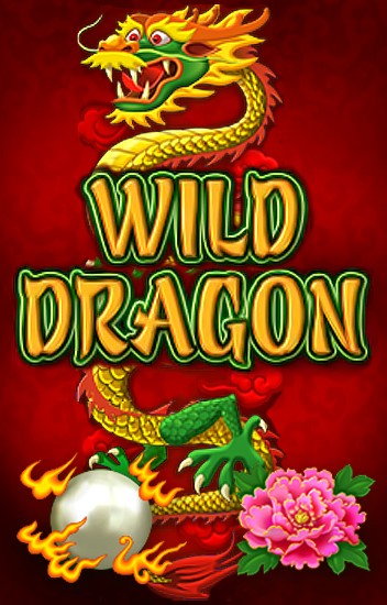 Wild Dragon