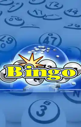 Bingo