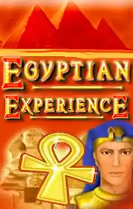 Egyptian Experience