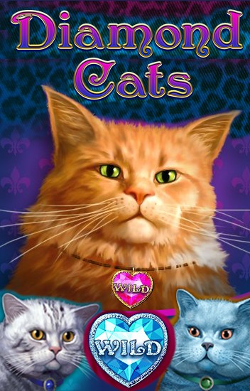 Diamond Cats