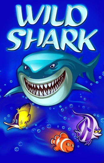 Wild Shark